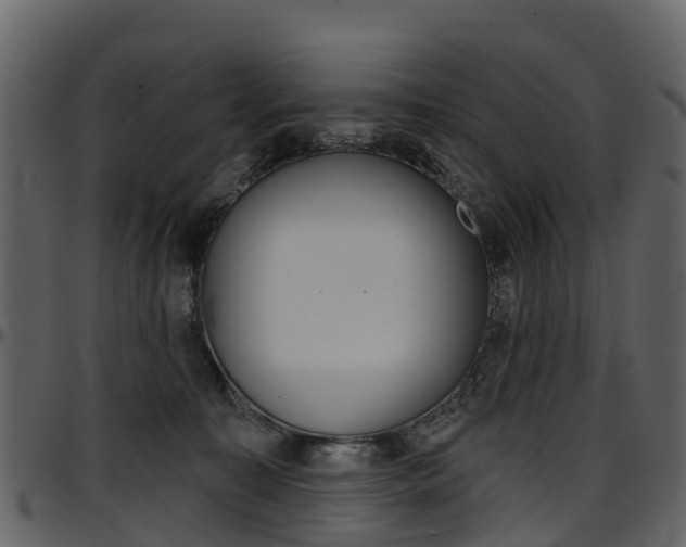 X0000097650323200802290853