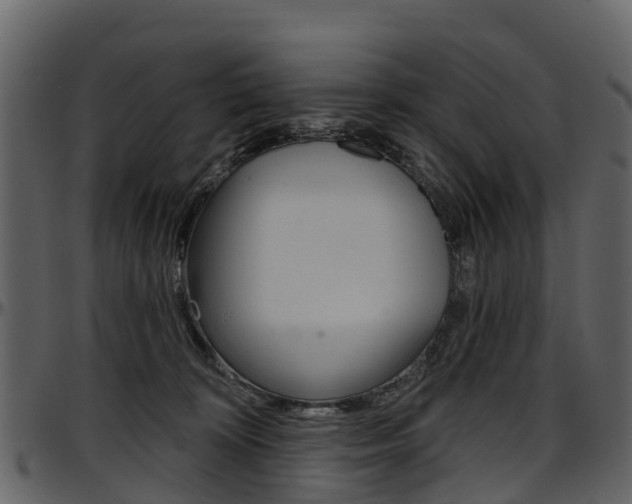 X0000097650324200802290853