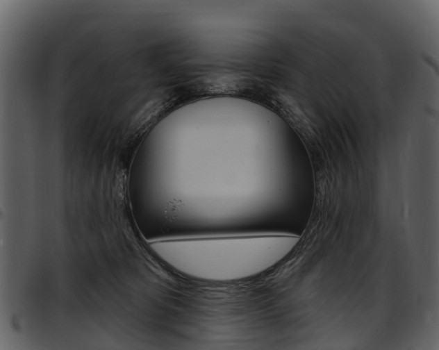X0000097650325200802290853