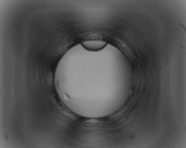 X0000097650326200802290853