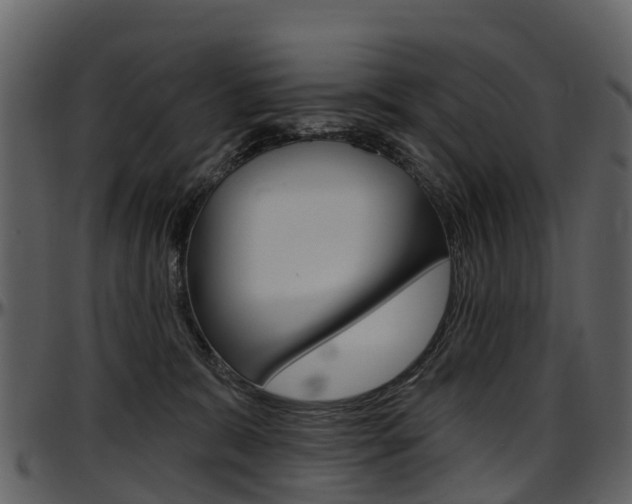 X0000097650327200802290853