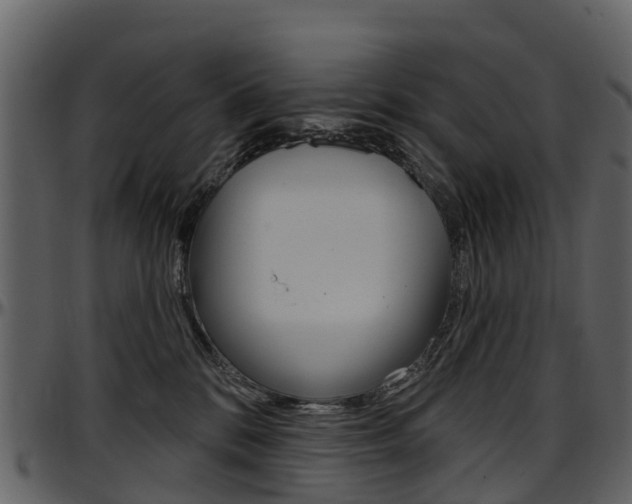 X0000097650328200802290853
