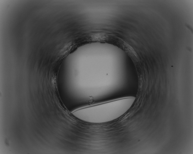 X0000097650329200802290853