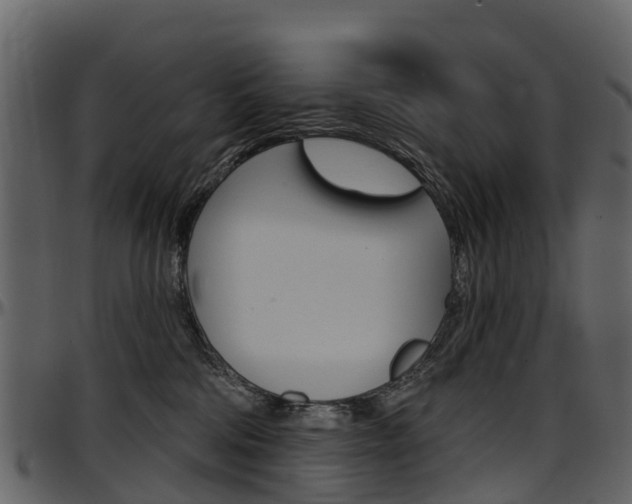 X0000097650330200802290853