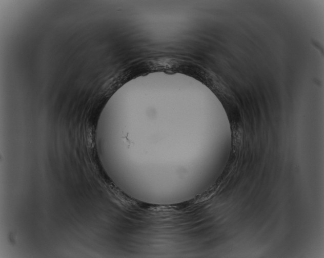 X0000097650331200802290852