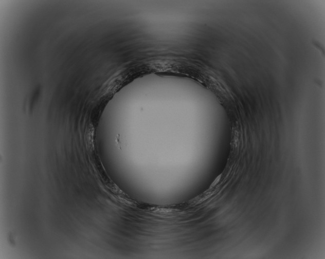 X0000097650332200802290852