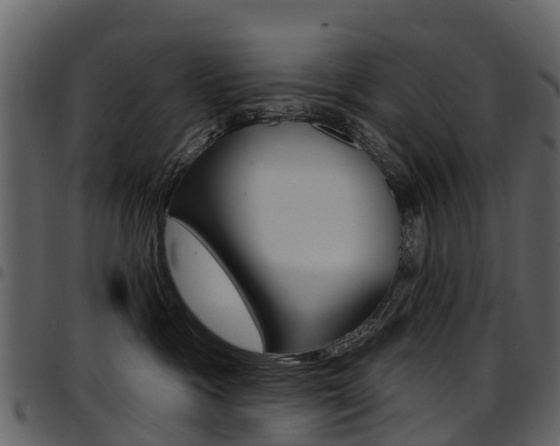 X0000097650333200802290852