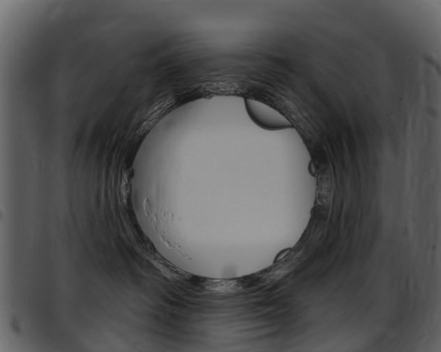 X0000097650334200802290852