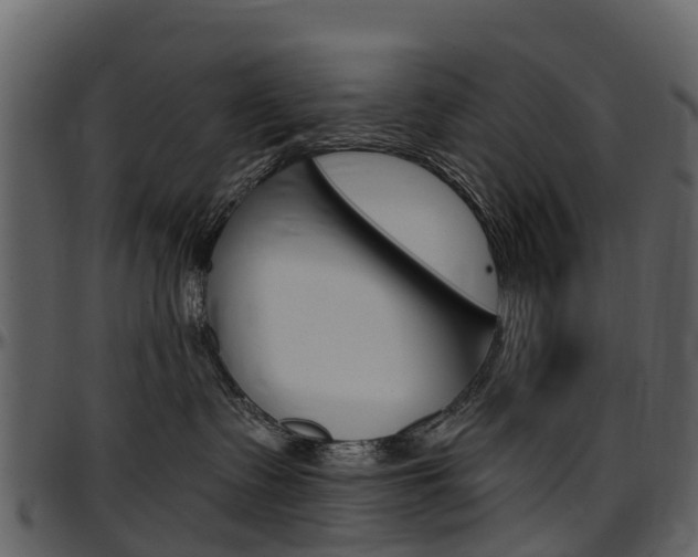 X0000097650335200802290852