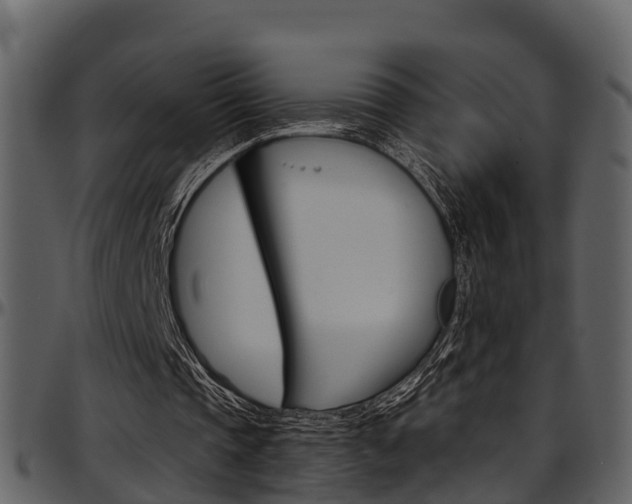 X0000097650337200802290852