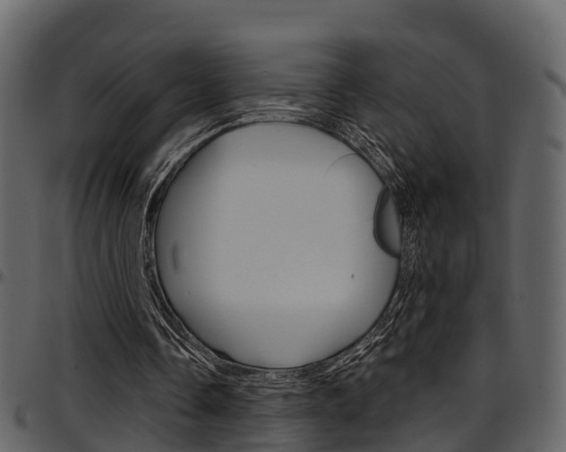 X0000097650338200802290852