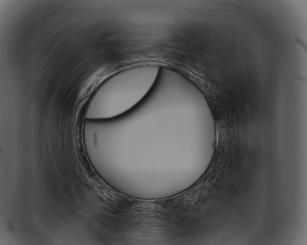X0000097650339200802290852