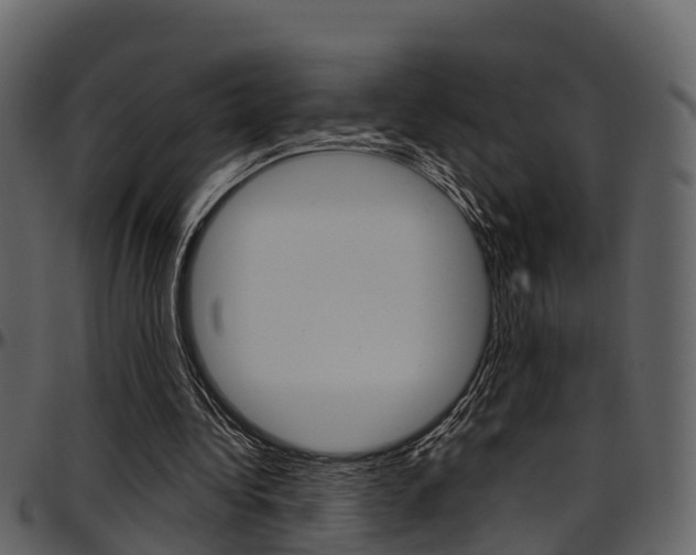 X0000097650340200802290852
