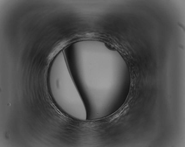 X0000097650341200802290852