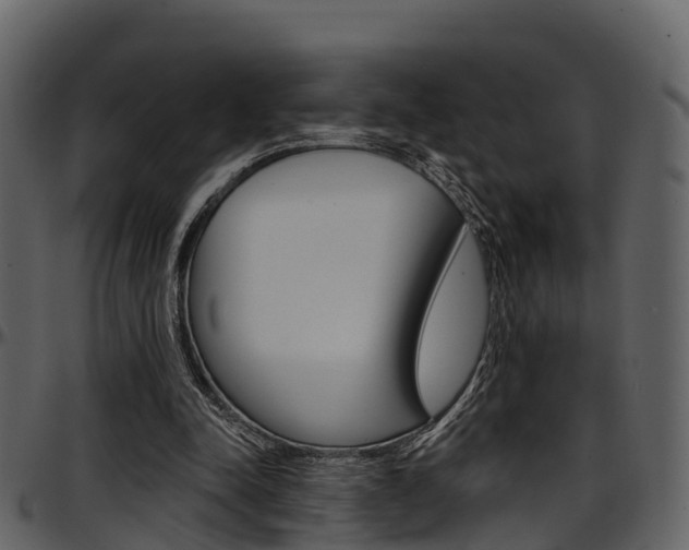 X0000097650342200802290852