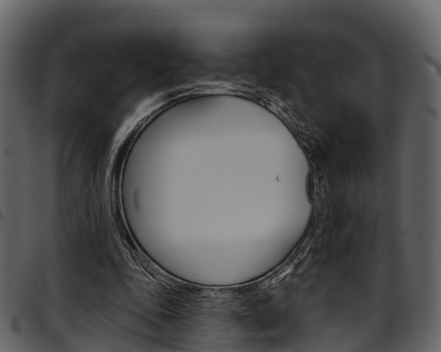 X0000097650343200802290852