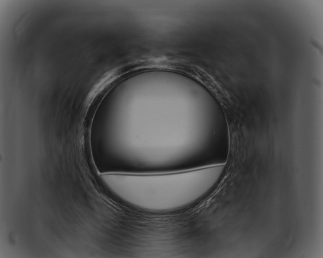 X0000097650344200802290852