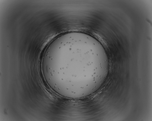 X0000097650346200802290852