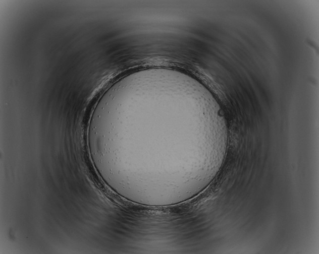 X0000097650347200802290852