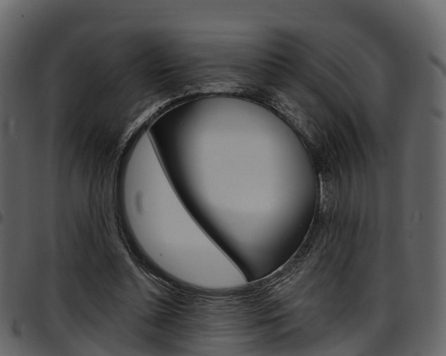 X0000097650348200802290852