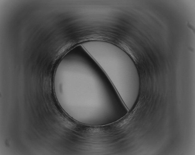 X0000097650349200802290852