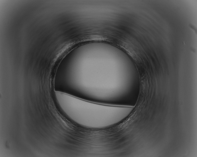 X0000097650350200802290852