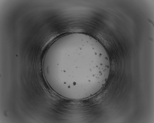 X0000097650351200802290852