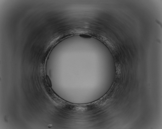X0000097650352200802290852