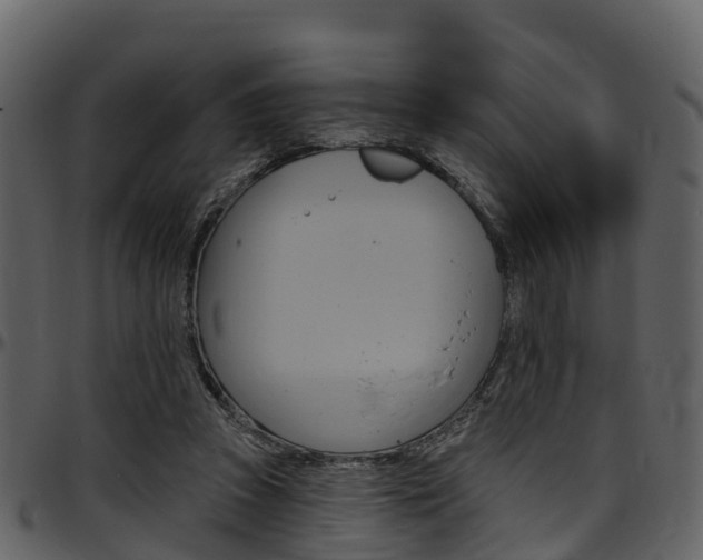 X0000097650353200802290852