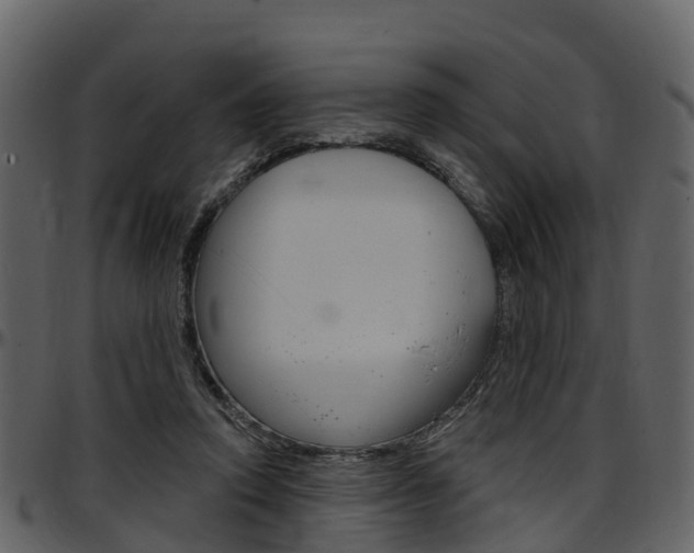 X0000097650354200802290852