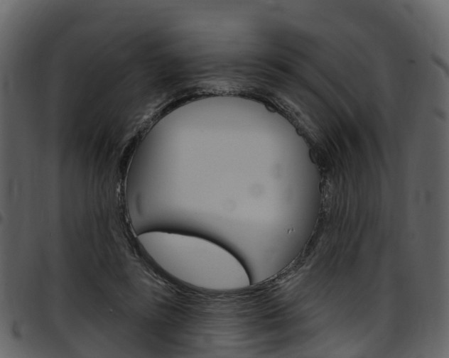 X0000097650355200802290852