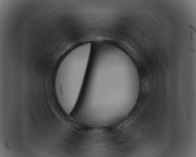 X0000097650358200802290852