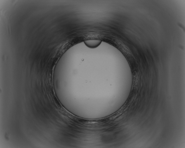 X0000097650361200802290852