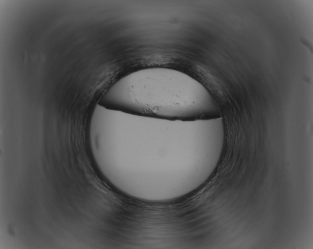 X0000097650362200802290852