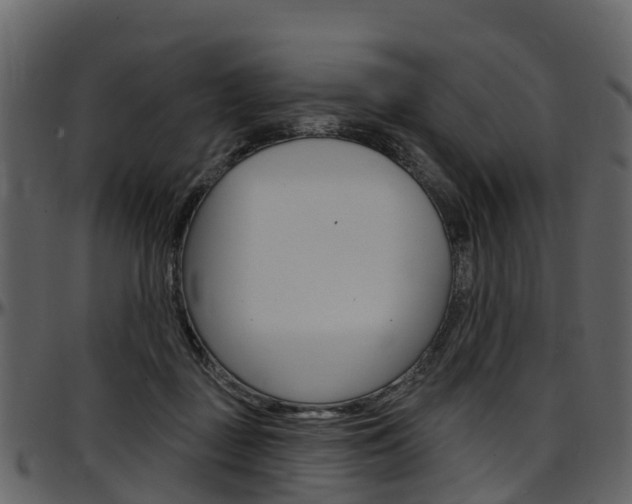 X0000097650363200802290852