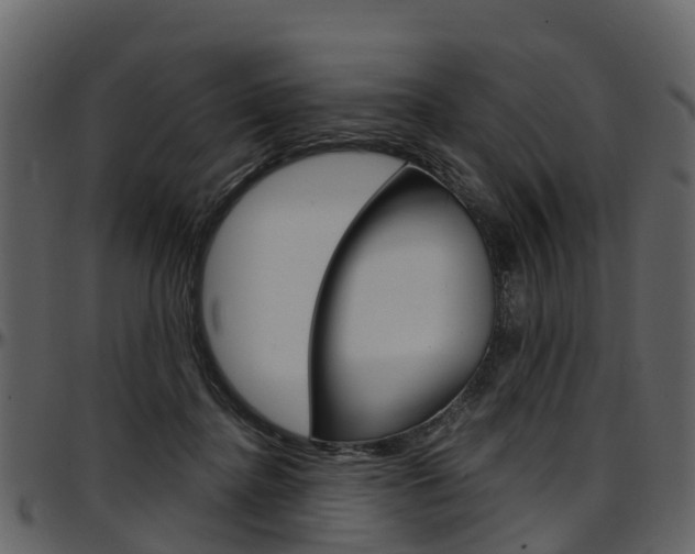 X0000097650364200802290852