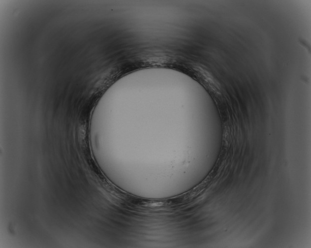X0000097650365200802290852