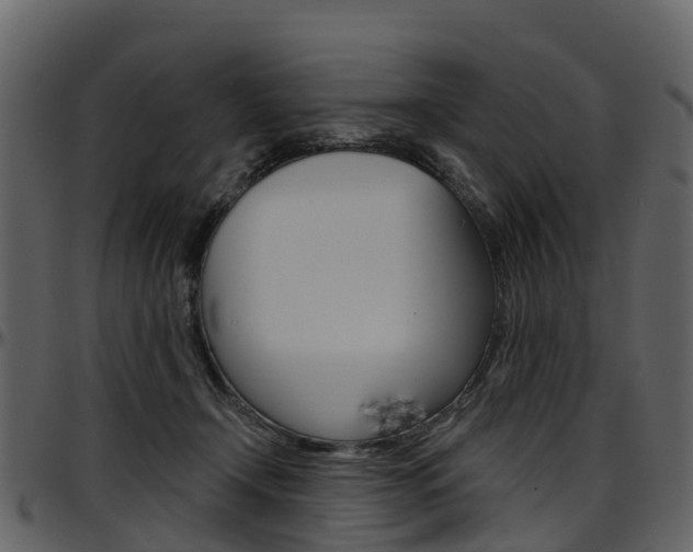 X0000097650366200802290852