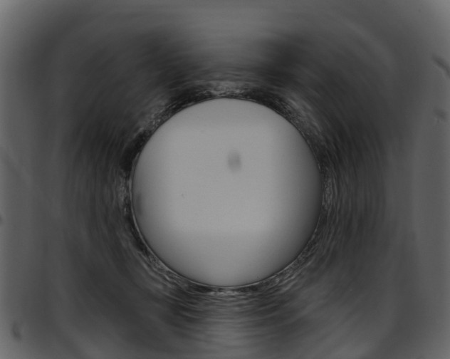 X0000097650367200802290852