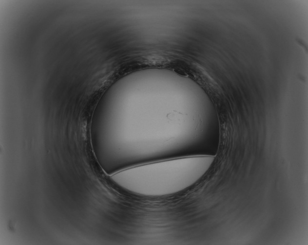 X0000097650368200802290852