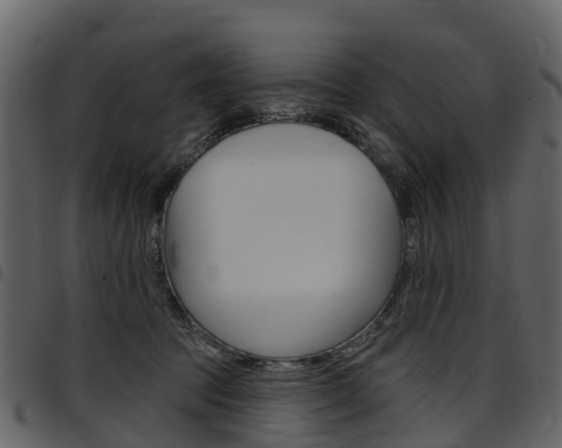 X0000097650369200802290852