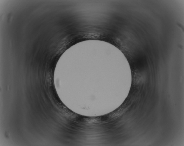 X0000097650370200802290852