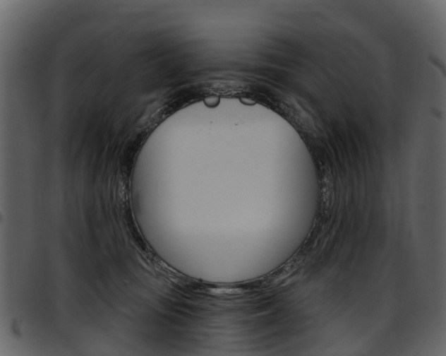 X0000097650371200802290852