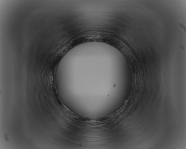X0000097650372200802290852