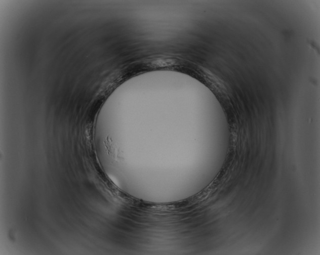 X0000097650373200802290852