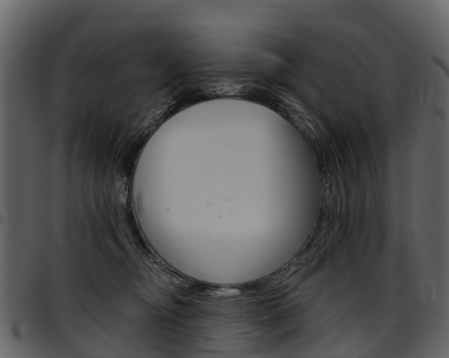 X0000097650374200802290852