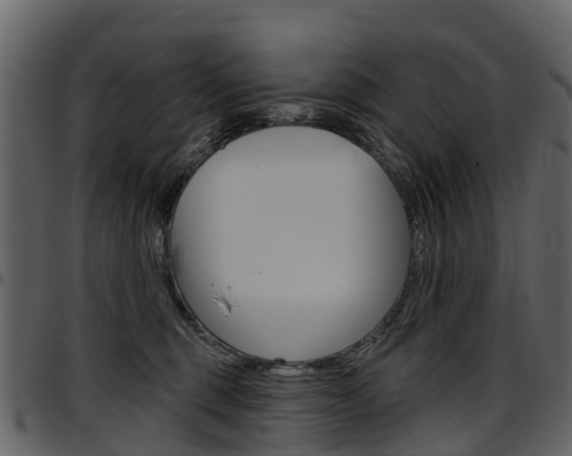 X0000097650375200802290852