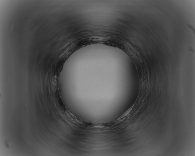 X0000097650376200802290852