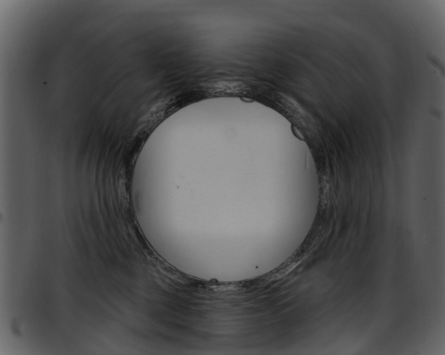 X0000097650377200802290852