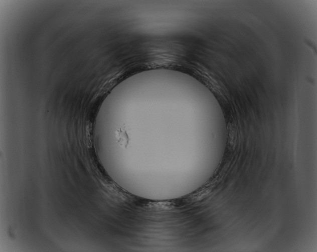 X0000097650378200802290852